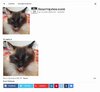 Bildschirmfoto 2018-04-16 um 12.22.50.jpg